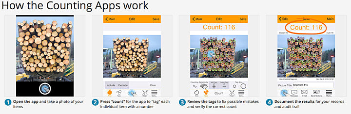 Log Counting Application