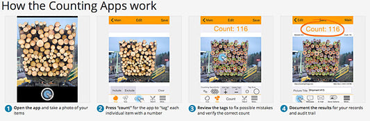 Log Counting Application